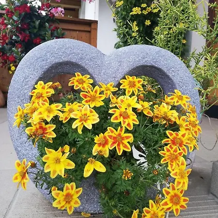 Haus Illmer - Apartment *